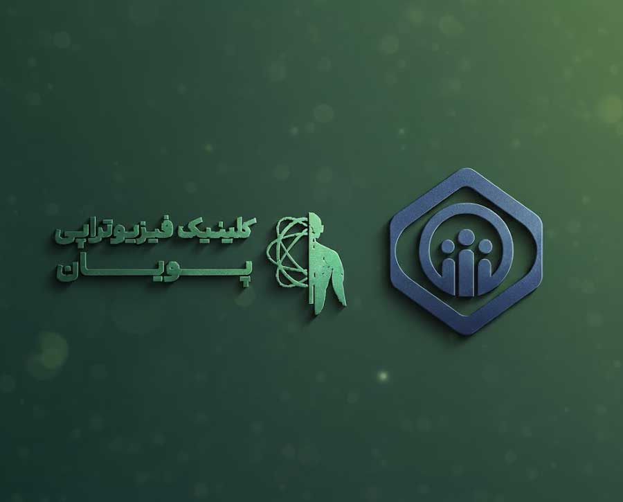 خدمات تخصصی ما (چرا پویان را انتخاب کنید؟)