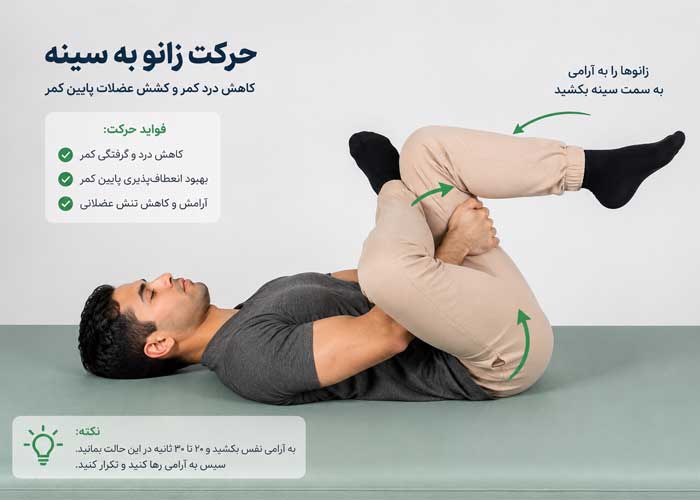 ورزش برای درد کمر و لگن | راهنمای کامل حرکات اصلاحی